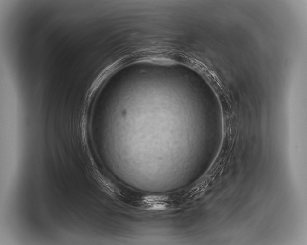 X0000116640051200912211014