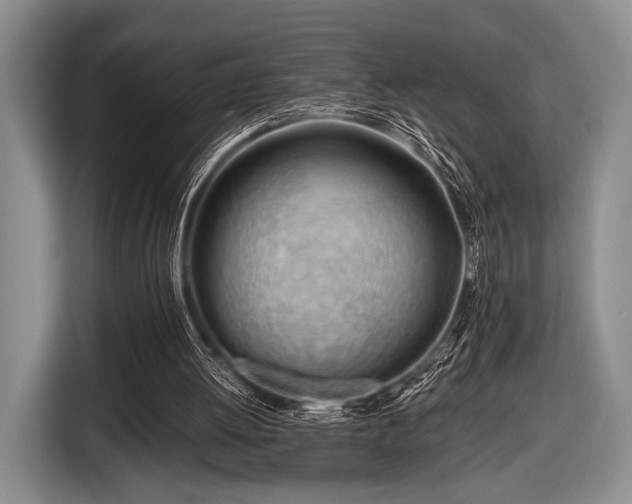 X0000116640052200912211014