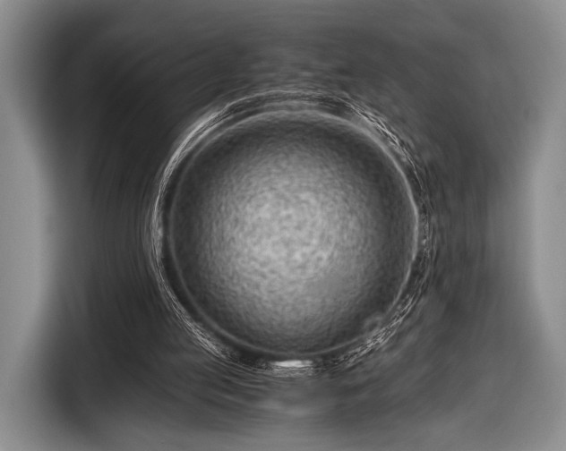 X0000116640053200912211014