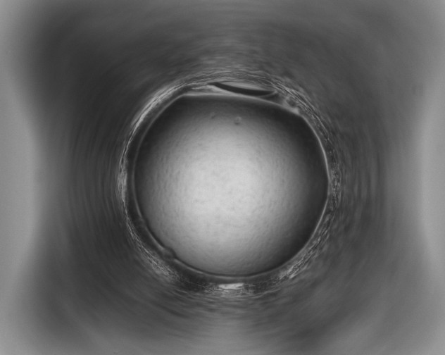 X0000116640054200912211014