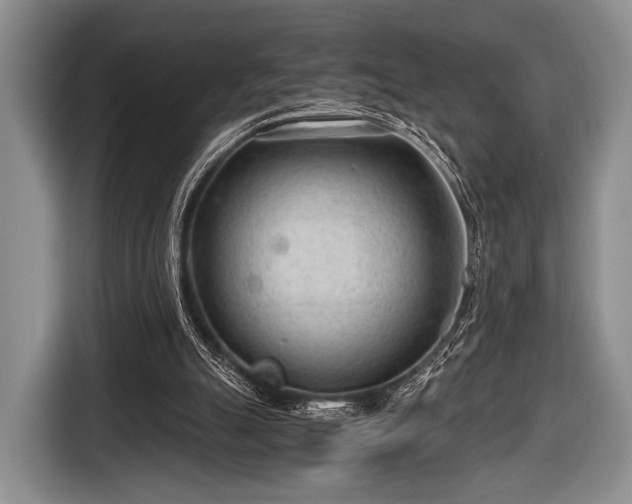 X0000116640055200912211014