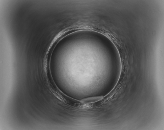 X0000116640056200912211014