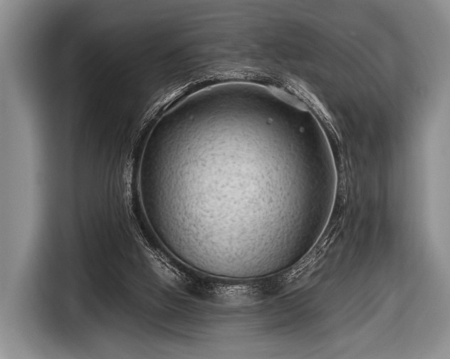 X0000116640058200912211014