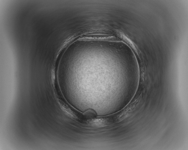 X0000116640059200912211014