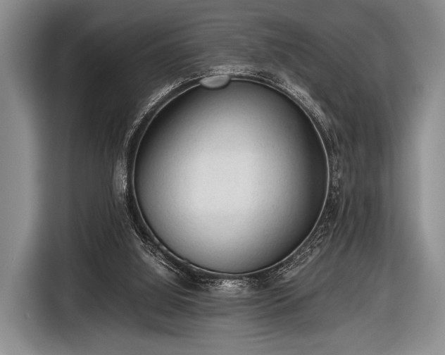 X0000116640060200912211014