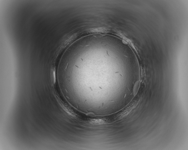 X0000116640061200912211014