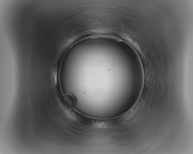 X0000116640062200912211014