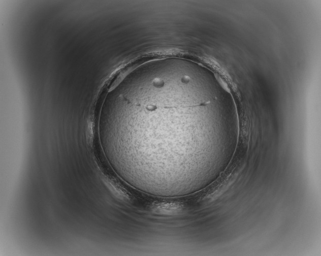 X0000116640063200912211014