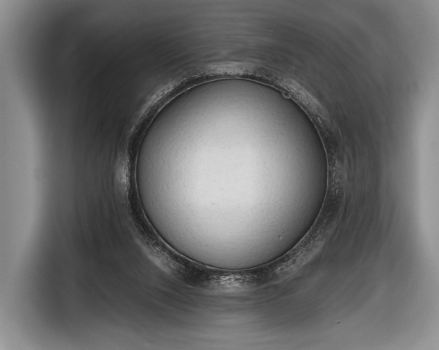 X0000116640064200912211014