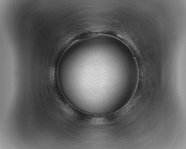 X0000116640066200912211014