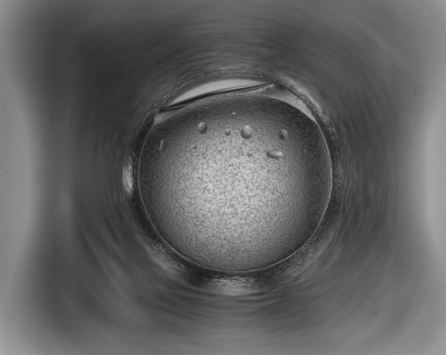 X0000116640069200912211014