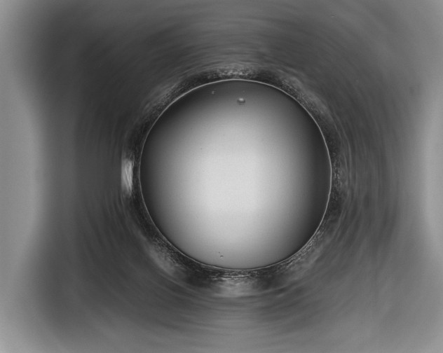 X0000116640070200912211014