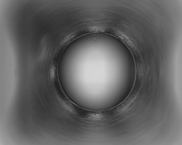 X0000116640071200912211014