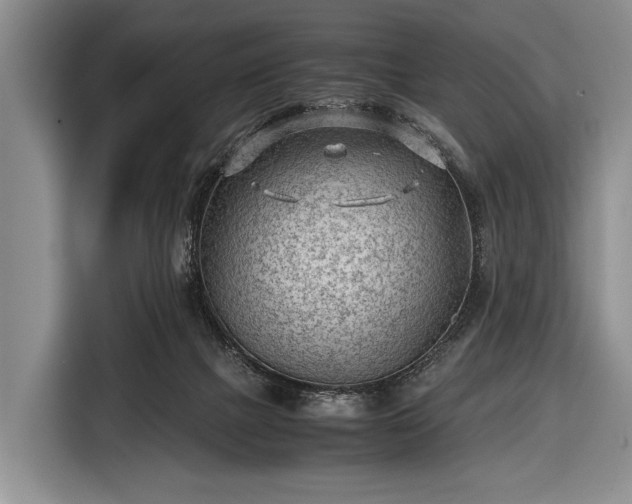 X0000116640073200912211014