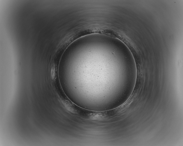 X0000116640074200912211015