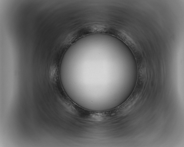 X0000116640079200912211015