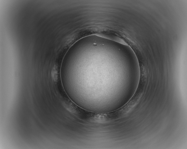 X0000116640080200912211015