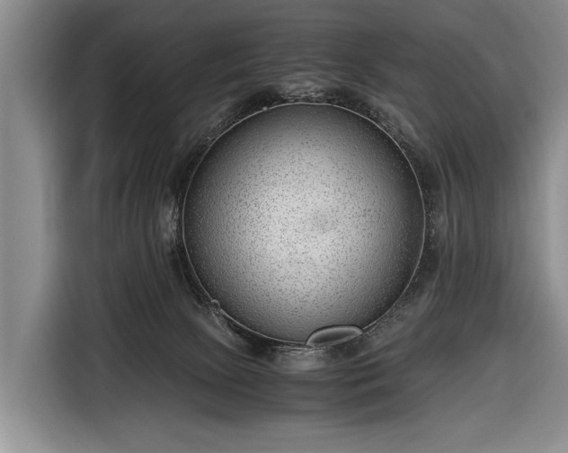 X0000116640081200912211015