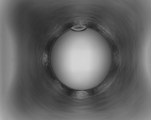 X0000116640087200912211015