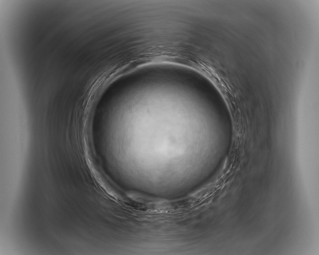 X0000116640097200912211014