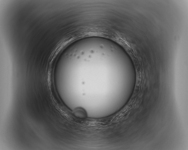 X0000116640098200912211014