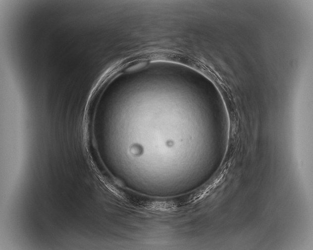 X0000116640101200912211014