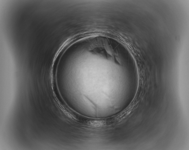 X0000116640102200912211014