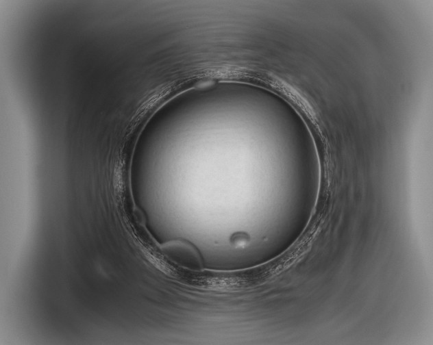 X0000116640105200912211014