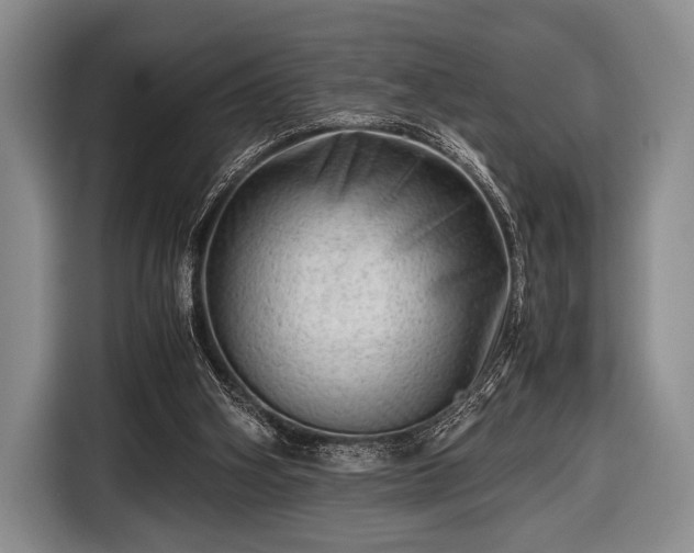 X0000116640106200912211014