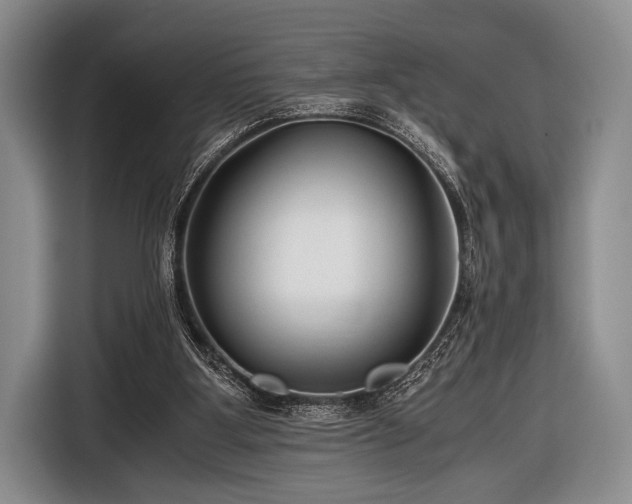 X0000116640107200912211014