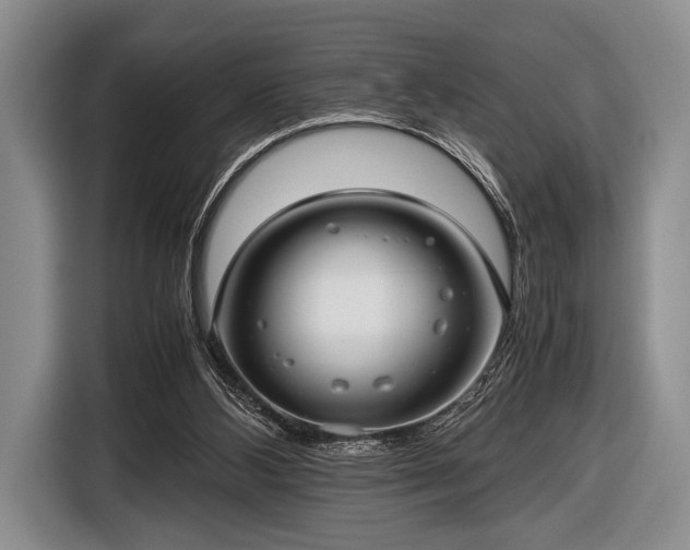 X0000116640108200912211014