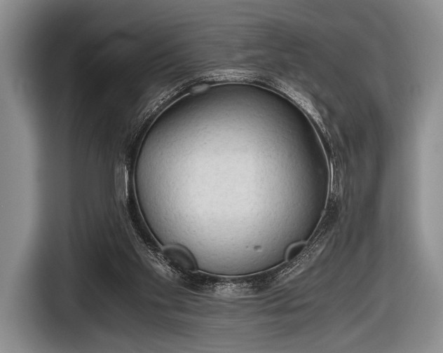 X0000116640109200912211014