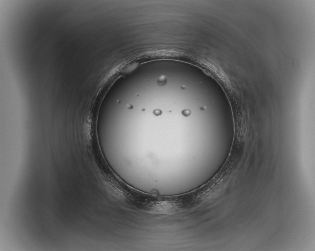 X0000116640111200912211014