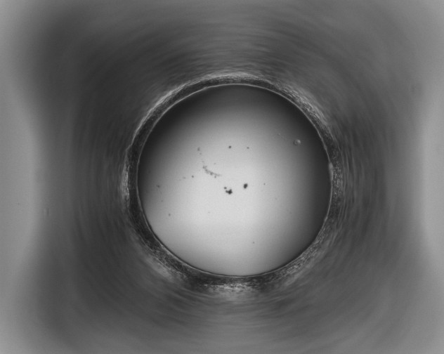 X0000116640112200912211014