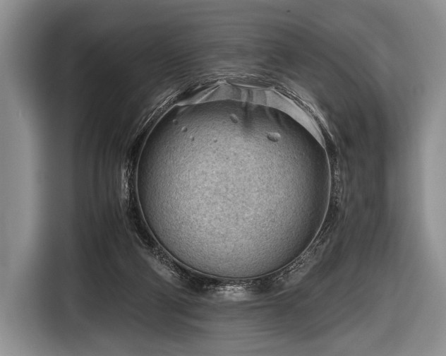 X0000116640114200912211014