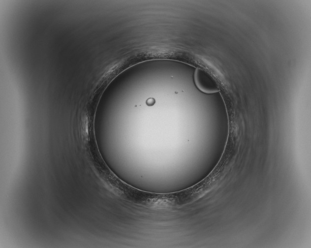 X0000116640115200912211014