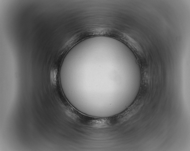 X0000116640118200912211014