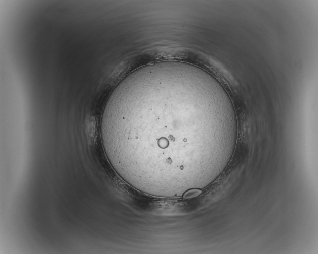 X0000116640121200912211014