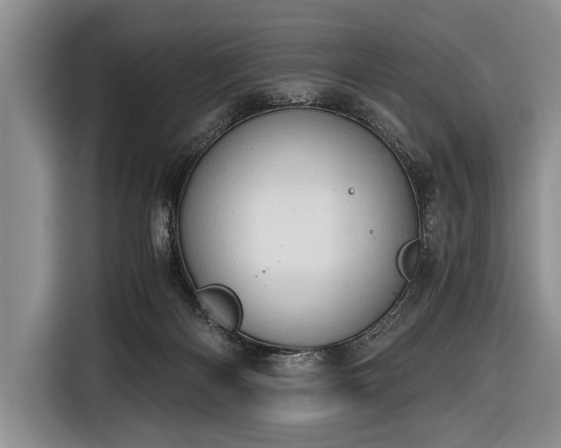 X0000116640122200912211013