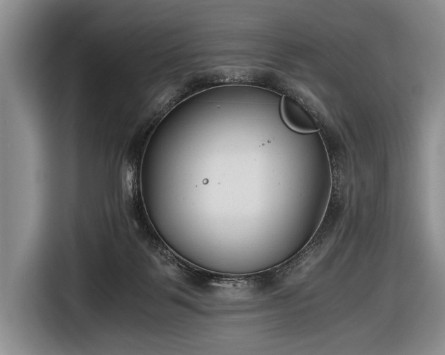 X0000116640123200912211013