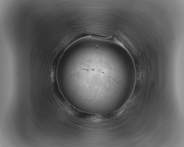 X0000116640124200912211013