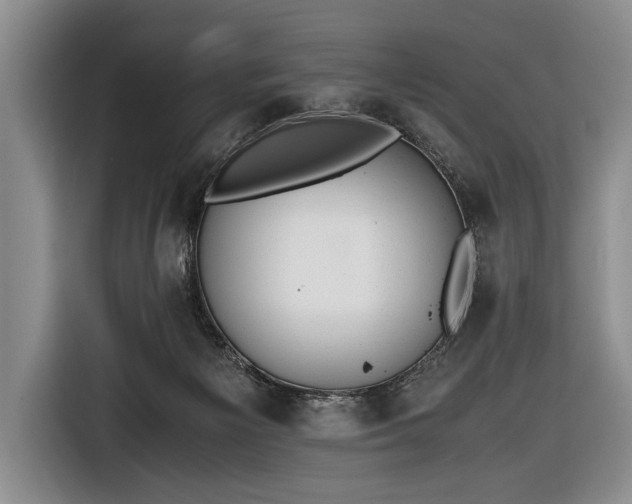 X0000116640125200912211013