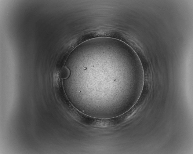 X0000116640127200912211013