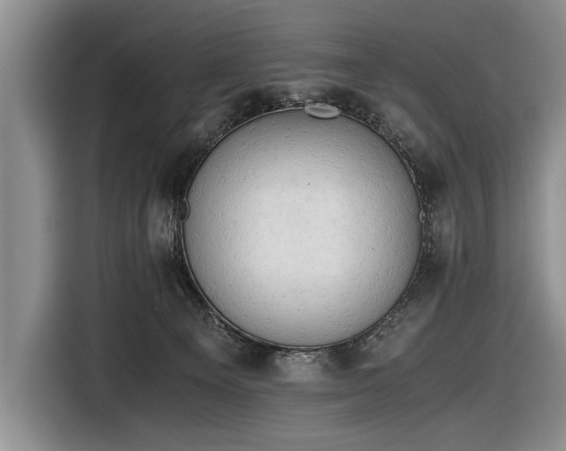 X0000116640129200912211013