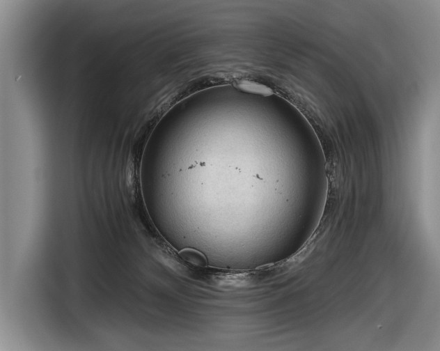 X0000116640132200912211013