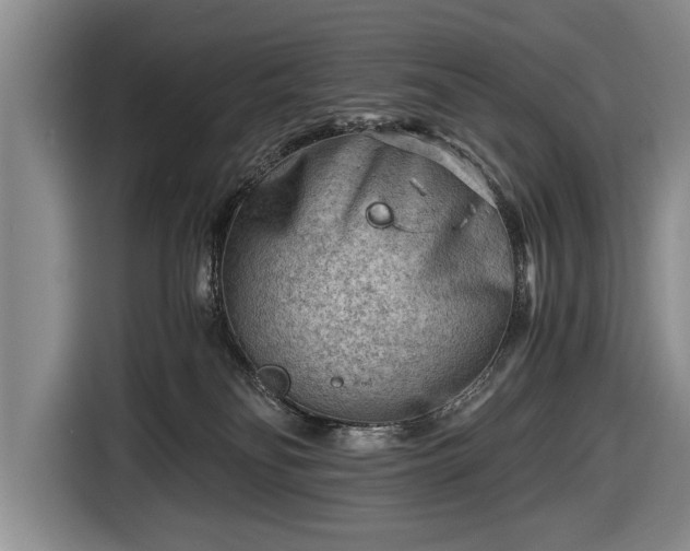 X0000116640134200912211013