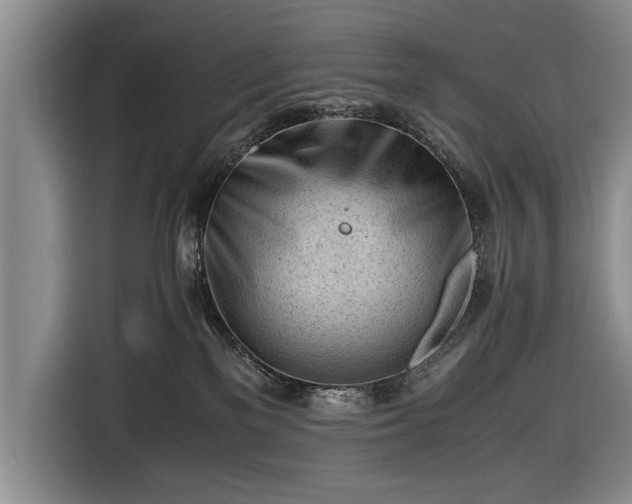 X0000116640137200912211013