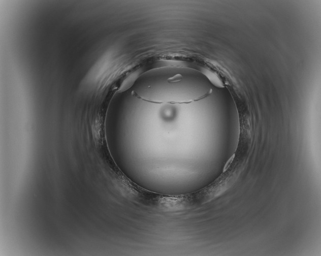 X0000116640139200912211013