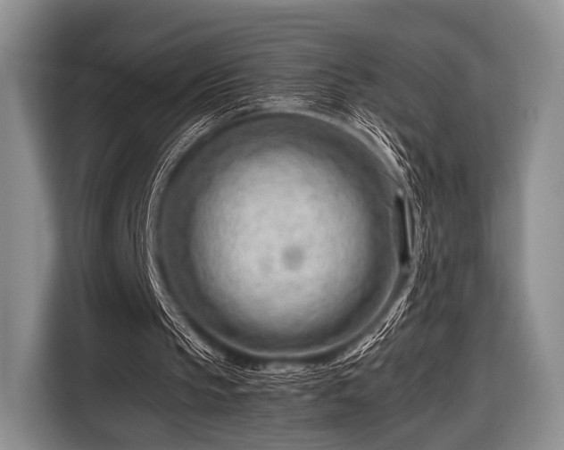 X0000116640145200912211012