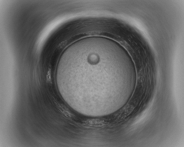 X0000116640146200912211012